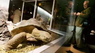 Are evolution and religion compatible?
