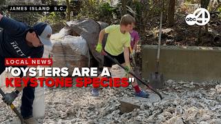 How wire oyster reefs are saving the Palmetto State coastline