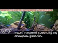 Simple Planted Aquarium/Aquascape - Malayalam