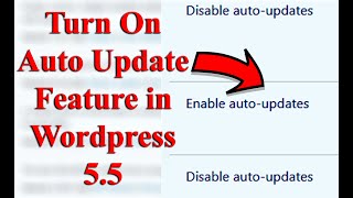How To Turn On Auto Update in WordPress 5.5? | Auto Update Feature