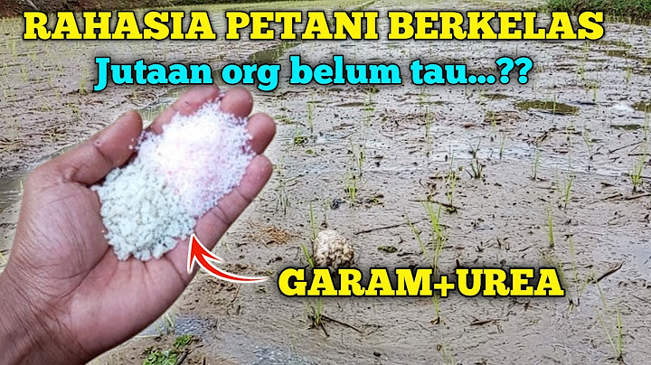 TERBONGKAR RAHASIANYA PETANI BERKELAS..!! Cara agar tanaman tumbuh subur