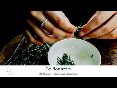 Vidéo: Romarin Des Marais - Propriétés Utiles, Application, Recettes