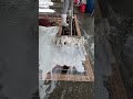 Foam scraping #95#satisfying #asmr #carpetcleaning.