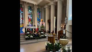 Fifth Sunday of Lent (Laetare Sunday)