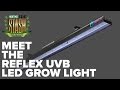 Meet the Reflex UVB LED Grow Light
