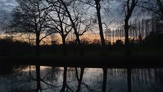 Ancient Astronaut - The Towpath