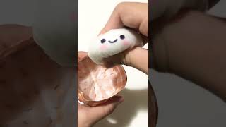 DIY Cute Dumpling Squishy! So soft!
