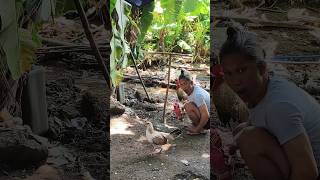 #shortvideo #goodvibes #youtubeshorts #youtubevideo #youtube