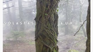 The Bear Dance | Berendans ,traditional Flemish tune