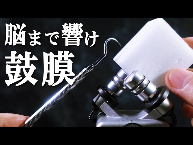 [ASMR]免疫矯正🧠 後頭部から脳までゾクゾク震える10トリガー/ 10 Brain Tingling Triggers to Cure Your Immunity（No Talking）