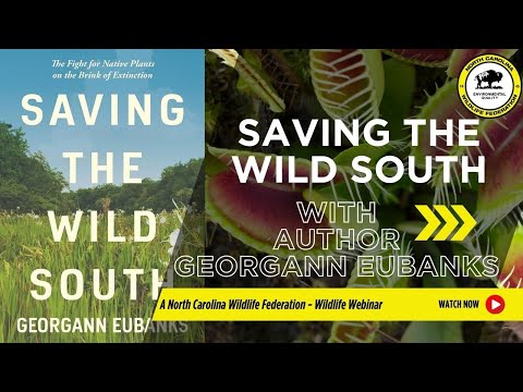 Saving the Wild