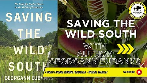 Saving the Wild South with Author Georgann Eubanks