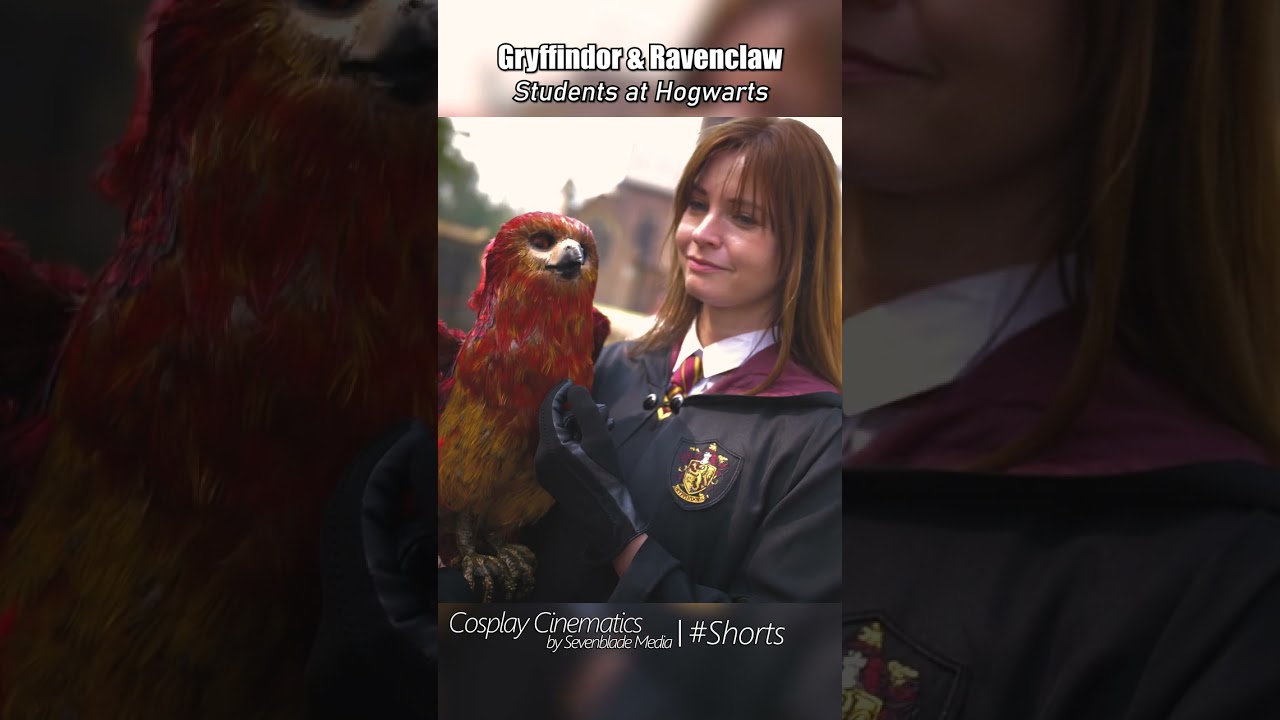Gryffindor and Ravenclaw Students at Hogwarts - 