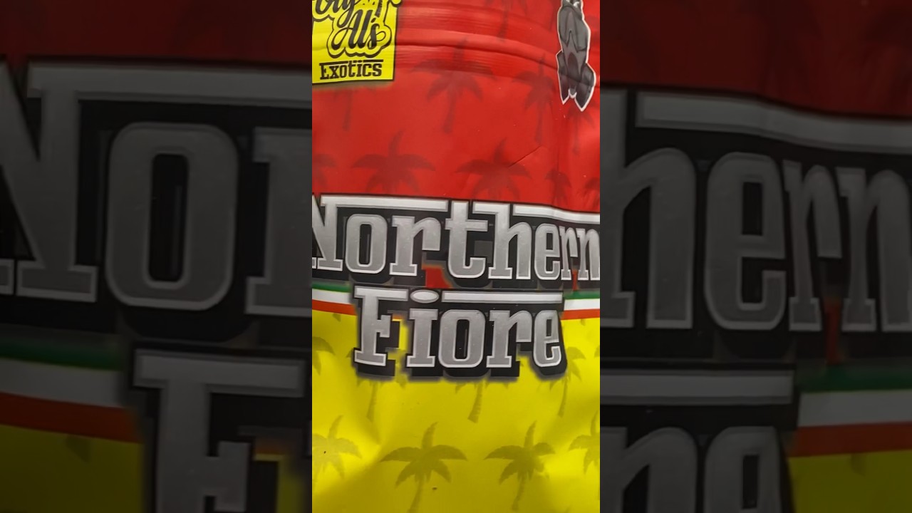 Northern Fiore by Big Al’s Exotics & Gas House Brand - Strain Review 🔥⛽️