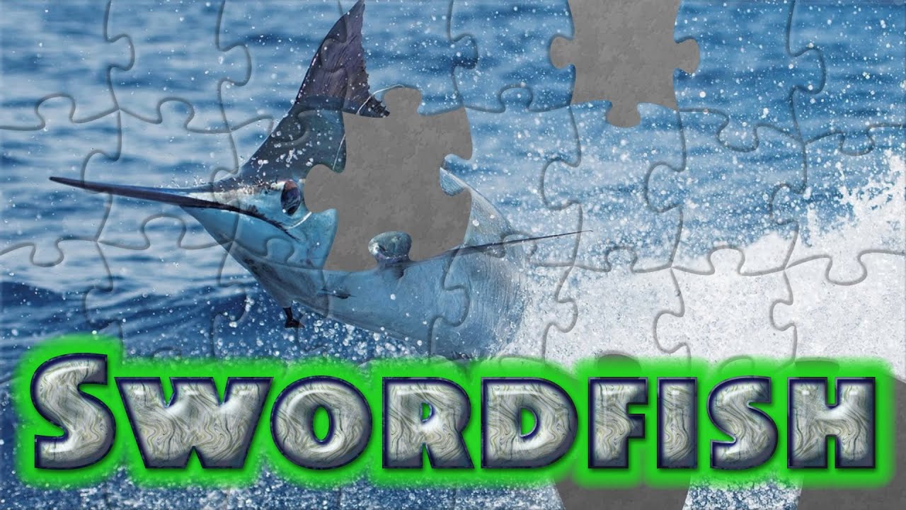 Swordfish - 황새치 - Schwertfisch - Pez espada - sea animals | WAP Puzzle