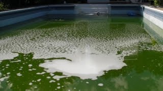 My Swimming Pool Turned Green