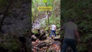 Andaman Tour Package