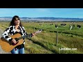 Lindimoo herds cows with moosic music part 1