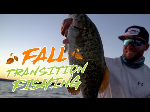 Bass Fishing – From Summer To Fall