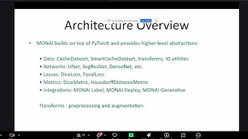 Introduction to MONAI: Medical Imaging With AI