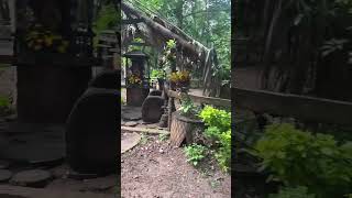 Sesion de hoy en ayotlan, Jalisco