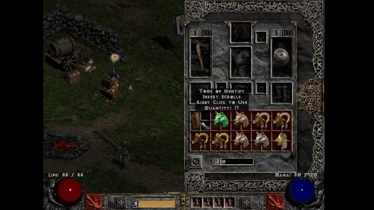 fLp Druid Pelts Can Change Color after ID Diablo 2 YouTube