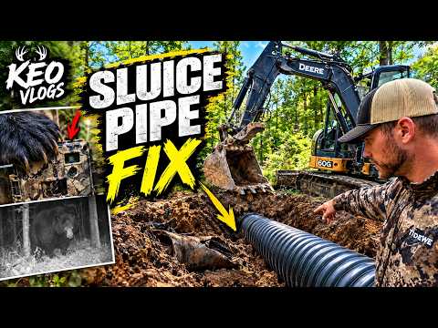 Clearing Trees & Replacing a Crushed Pipe with an Excavator!