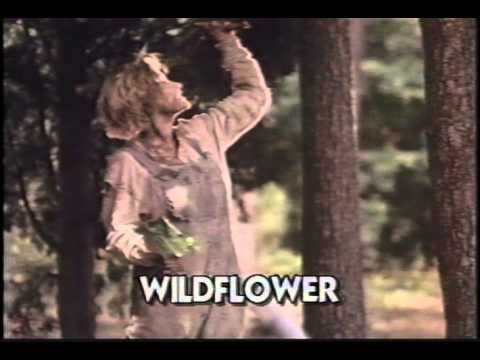 Wildflower 1991 Movie Trailer