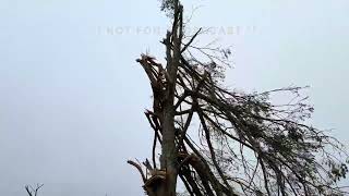 05-07-2026 Brookhaven, MS - Extensive Structural and Tree Damage - Clean Up Underway