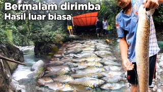 2 Hari Satu Malam Camping Dalam Rimba Mencari Ikan Dewa Dapat Sidat Besar Penghuni Lubuk Dalam