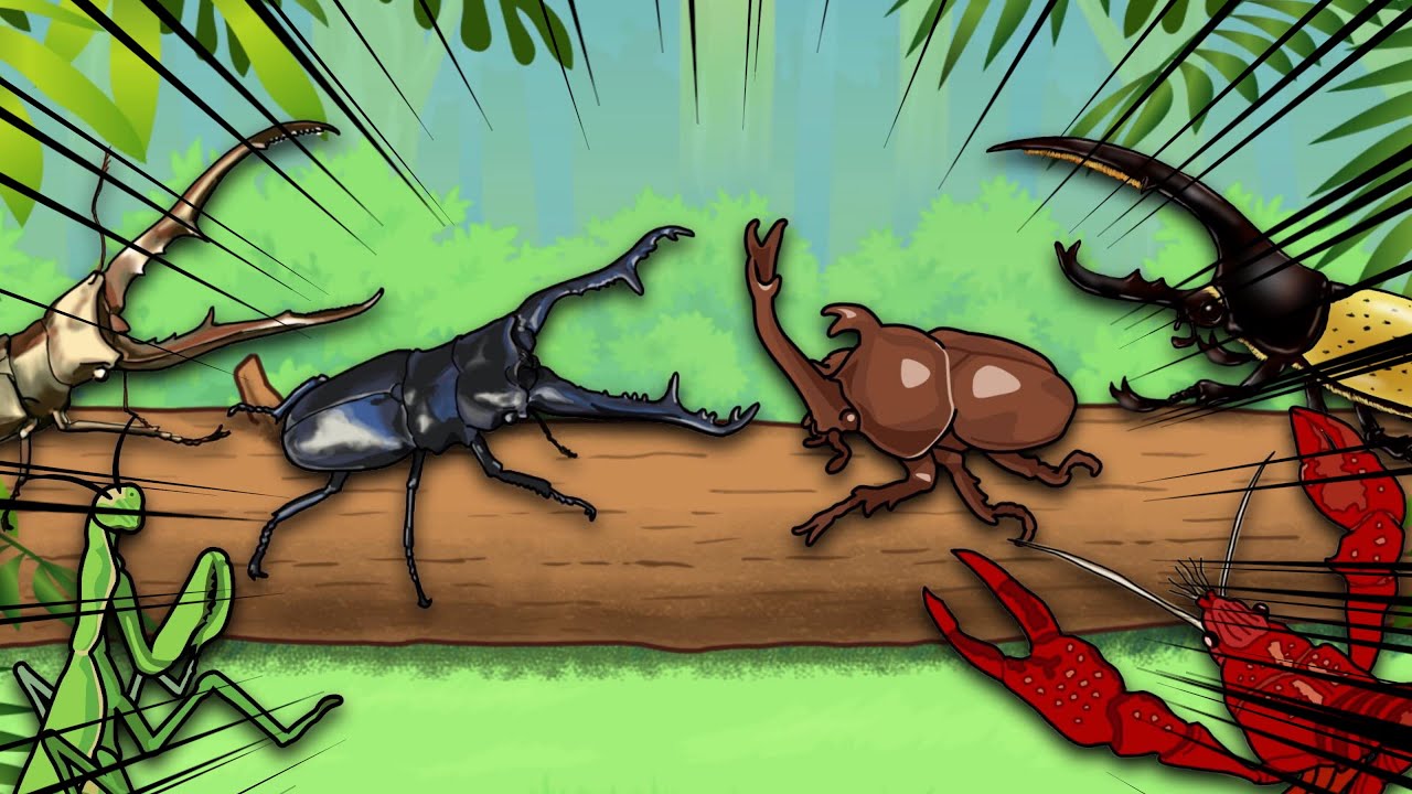 こんちゅうアニメ 昆虫バトル団体戦 カブトムシvsクワガタ ヘラクレスオオカブト ギラファノコギリクワガタ アメリカザリガニ カマキリ Insect Beetle Stag Battle Youtube