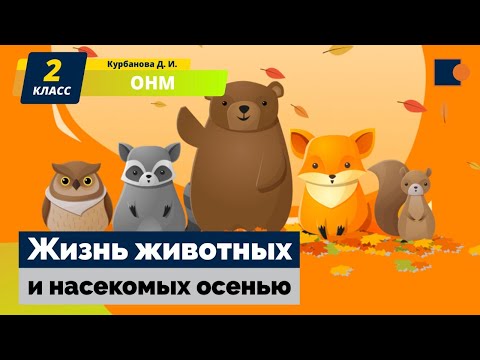 Жизнь животных и насекомых осенью.  Окружающий нас мир