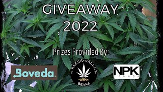 Matt's Greenspace | Giveaway 2022