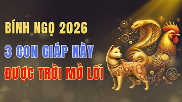 Ba Con Giáp Được Vận Trời Mở Lối Năm 2026 Bính Ngọ, Công Danh Nở Rộ, Tài Khí Dồi Dào
