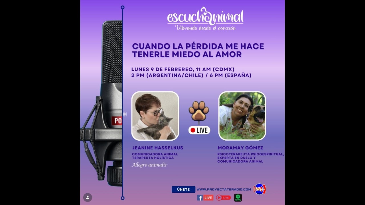 Cuando la pérdida me hace tenerle miedo al amor. Duelo de un animal de compañía. Escucha animal