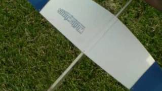 Paper Glider 紙飛行機を飛ばすat川下公園 with a dragonfly
