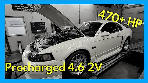 Procharged 4.6 2v Ford Mustang | Supercharged 4.6 | Dyno Review