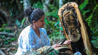 A new home for the displaced bees, the sweet medicine they gave for it|village kitchen srilanka