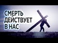 #318 Смерть действует в нас - Алексей Осокин - Библия 365 (2 сезон)