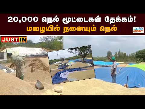 20,000 நெல் மூட்டைகள் தேக்கம்! மழையில் நனையும் நெல்...