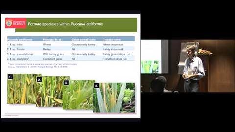 DRRW Course 10 physiologic specialization in the rust fungi formae speciales robert park 3 Match Sou