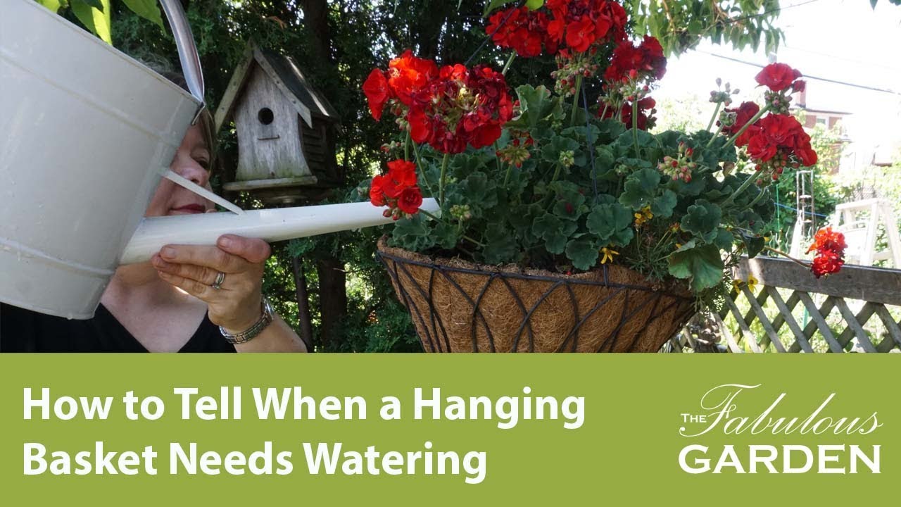wall hanger plant pots Elegance Wall Mount Pot Holder main image 1