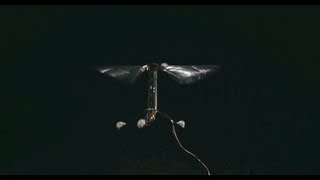 Harvard RoboBee First Controlled Flight