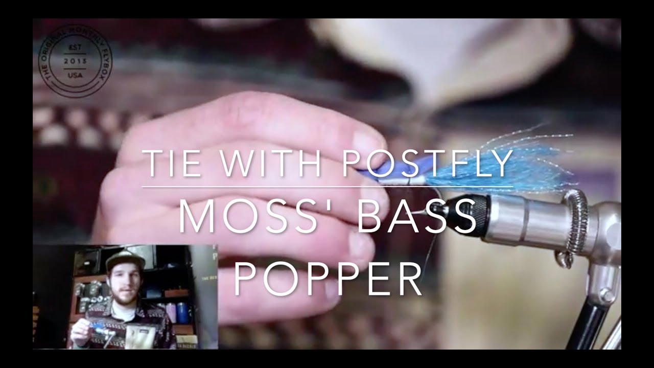 Совместная работа с Postfly, эпизод 9: бас-поппер Мосса