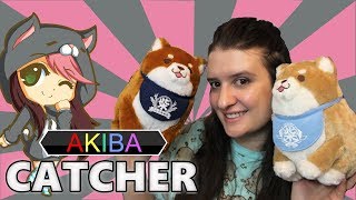 Prizes from Akiba Catcher!