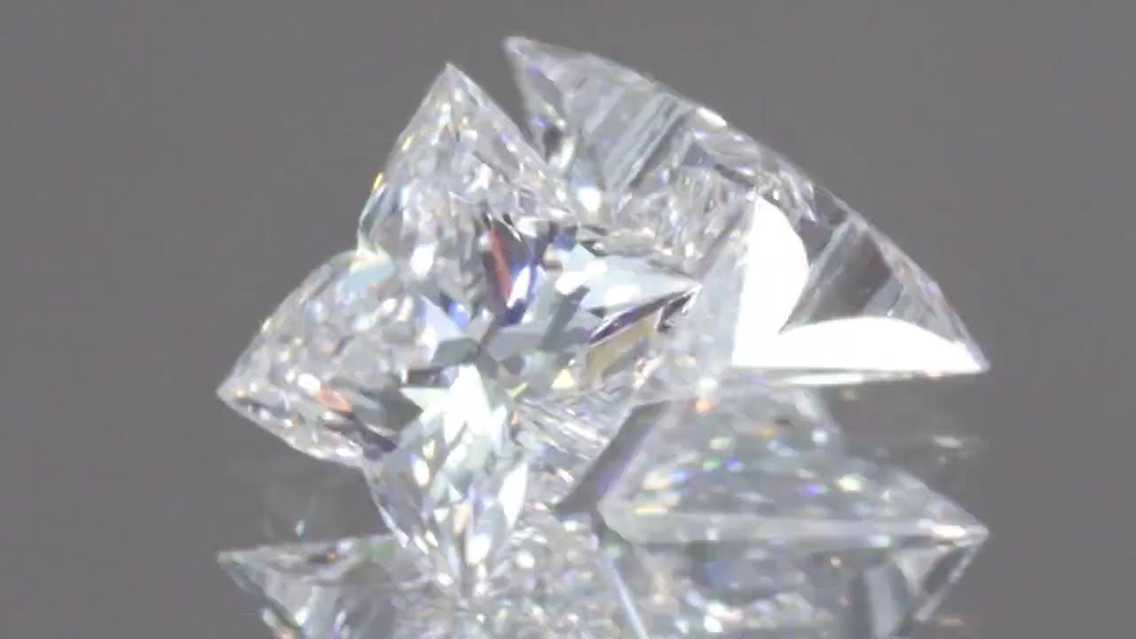 天然ダイヤモンド 0.55ct/2P 【オーキディアカット・ペア】D IF/D VVS2