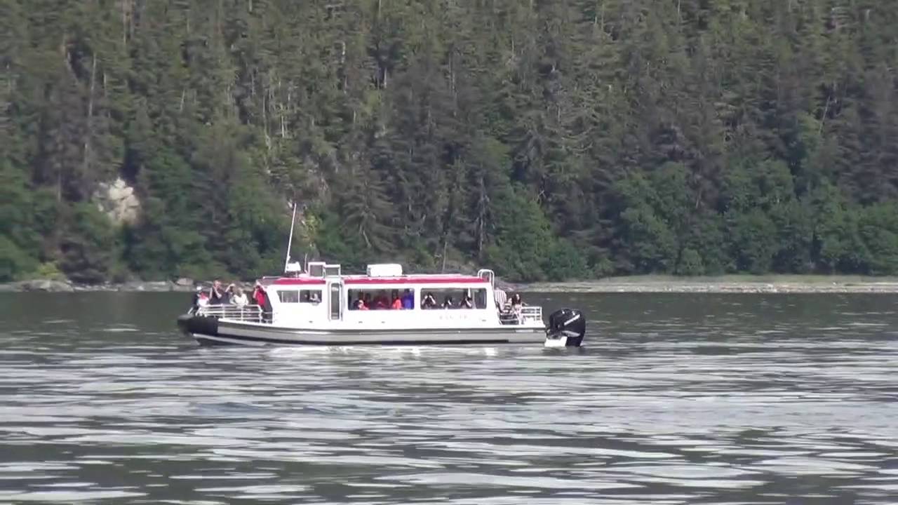 Juneau Whale Watching - YouTube