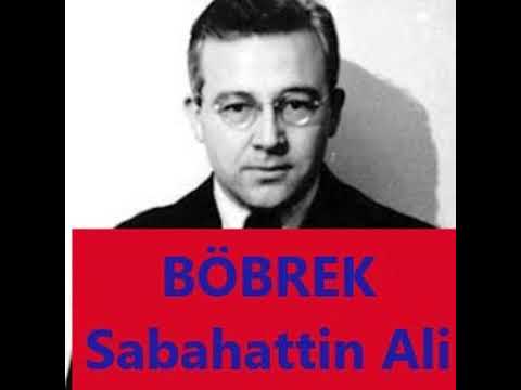 BÖBREK - Sabahattin