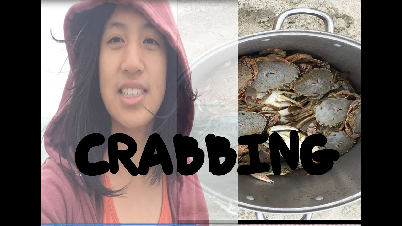 Crabbing  (Vlog #01- Marsden Point, New Zealand)