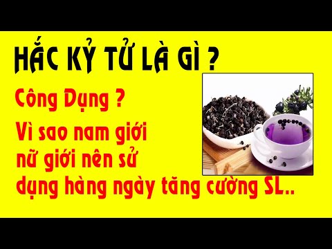 Video Hắc Kỷ Tử có tác dụng gì - Công dụng của Hăc Kỷ Tử -... - youtube